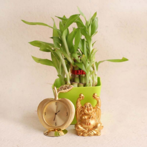 Good Luck Hamper for Loved Ones