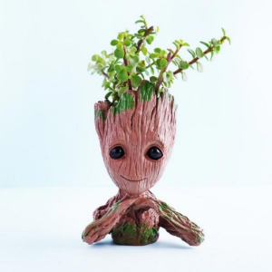 Jade Plant with Groot Pot