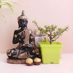 Auspicious Jade Plant Combo