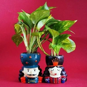 Two Money Plant with Couple Designed Pot - Unique Anniversary Gifts