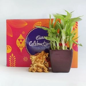 Lucky Celebrations Hamper