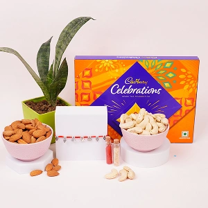 Luxury Rakhi Gift Combo with Dry Fruits, Celebration Pack