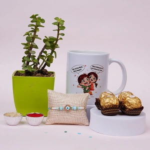 Lucky Jade Plant Rakhi Gift Box