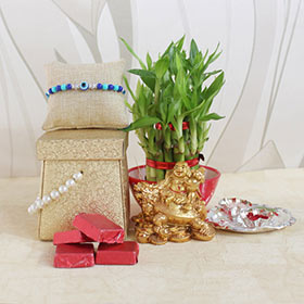 Truly Thoughtful - Lucky Plants
