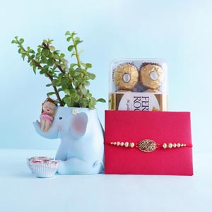 Antique Golden Rakhi with Jade Plant Combo