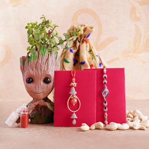 Bhaiya Bhabhi Rakhi with Jade Plant Combo