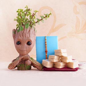 Rudraksha Rakhi with Jade Plant and Kaju Barfi