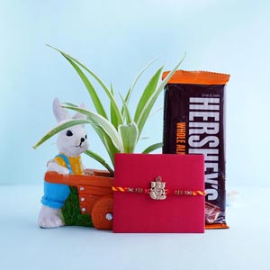Ganesha Rakhi with Spider Plant and Chocolates