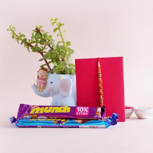 Rudraksha Rakhi with Jade Plant Combo