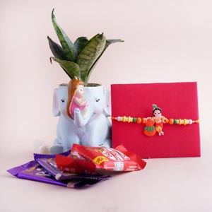Krishna Kids Rakhi with Snake Plant and Chocolates Combo