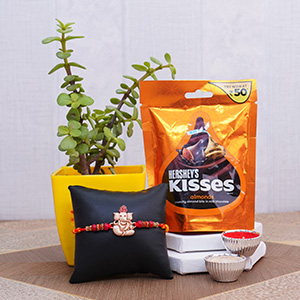 Designer Rakhi with Jade Plant and Kisses Chocolates