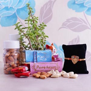 Bro Rakhi with Plants and Dryfruits Hamper - Patta Rakhi