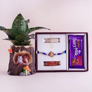 Ganesha Rakhi Signature Box with Snake Plant in Designer Pot