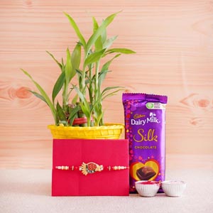 Rudraksha Rakhi with Lucky Bamboo and Chocolate
