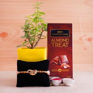 Designer Rakhi with Jade Plant and Temptations