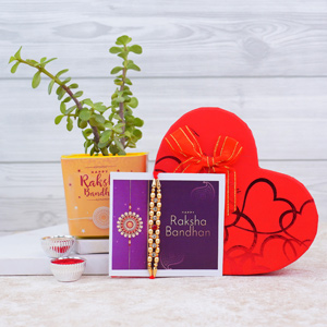 Designer Rakhi with Jade Plant N Assorted Chocolates in Heart Shaped Box
