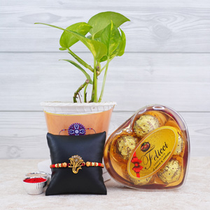 Golden Ganesha Rakhi with Money Plant N Chocolate - Rakhi with Plants