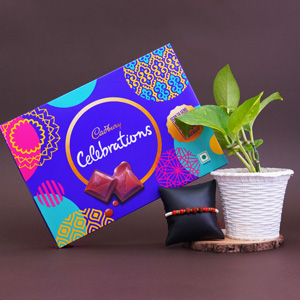 Rudraksha Rakhi with Money Plant Combo