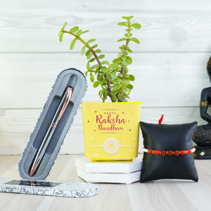 Rudraksh Rakhi with Jade Plant Combo