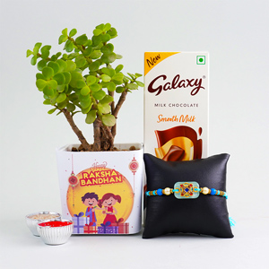 Pearl Rakhi and Jade Plant with Chocolate - Eco Friendly Rakhi