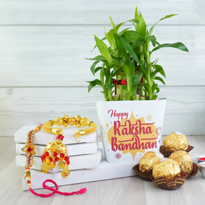 Bhaiya Bhabhi Rakhi with Lucky Plant and Ferrero Rocher - Rakhi to Kanpur