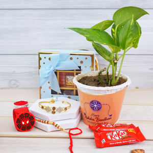 Bhaiya Bhabhi Rakhi N Kid’s Rakhi with Chocolates