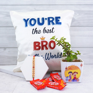 Rakhi N Jade Plant Gift Hamper - Rakhi Gift Hampers
