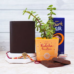 Rakhi with Wallet N Jade Plant - Gifts For Brother Online