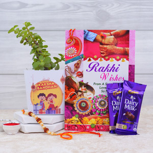 Pearl Rakhi with Greeting N Dairy Milk