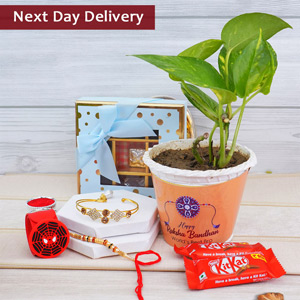 Bhaiya Bhabhi Rakhi N Kid’s Rakhi with Chocolates Next Day Delivery