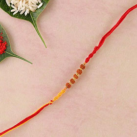 Five Rudraksha Fancy Rakhi
