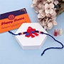 Spiderman Vibe Rakhi