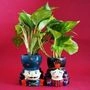 Two Money Plant with Couple Designed Pot - Unique Anniversary Gifts