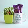 Chocolate Mug with Lucky Bamboo for sister