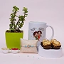 Lucky Jade Plant Rakhi Gift Box