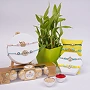 Premium Family Rakhi Gift Box