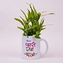 Lucky Bamboo Plant in Printed Ceramic Mug