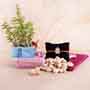 Silver Ganesha Rakhi with Jade Plant Combo