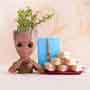 Rudraksha Rakhi with Jade Plant and Kaju Barfi