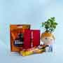 Rudraksha Rakhi with Jade Plant and Chocolates Combo