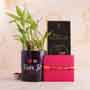 Bro Rakhi with Lucky Bamboo and Bournville Chocolate