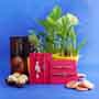 Three Brothers’ and Lumba Rakhi with Plants Hamper