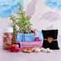Bro Rakhi with Plants and Dryfruits Hamper