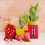 Two Rakhis and Plants Hamper