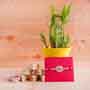 Silver Rakhi with Lucky Bamboo and Kaju Barfi