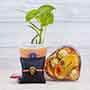 Golden Ganesha Rakhi with Money Plant N Chocolate