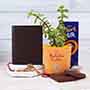 Rakhi with Wallet N Jade Plant