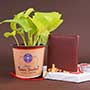 Krishna Rakhi with Plant N Wallet