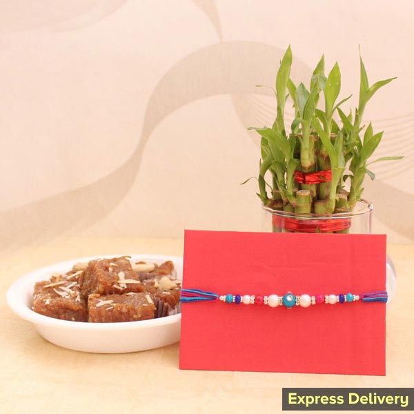 Thoughtful Rakhi combo