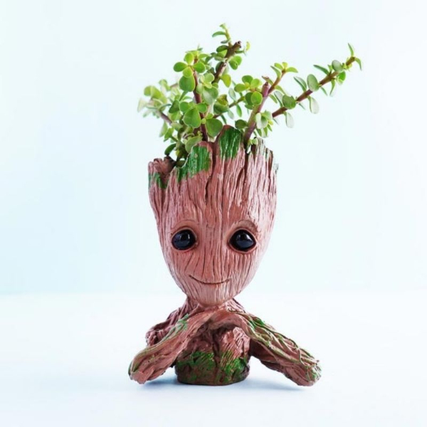 Jade Plant with Groot Pot
